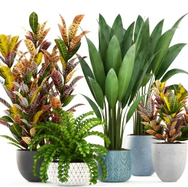 Collection of plants